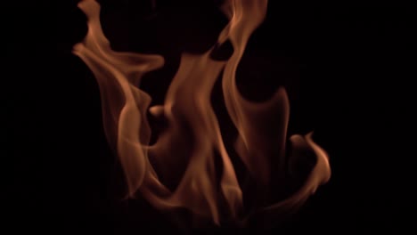 real fire flame background