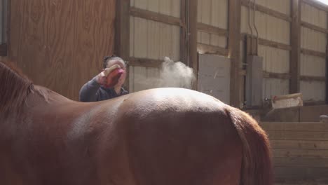 slow motion of young women cow girl brushing a horse with dust into the bright sunbeam warm peaceful light in an indoor arena with a brown red horse 4k close medium shot