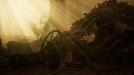 preparation of firewood for the winter in forest at sunset