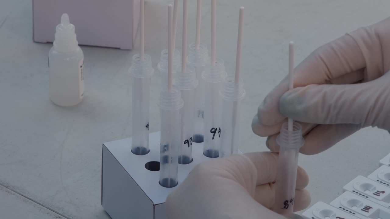 un trabajador de la salud procesa pruebas rápidas de covid-19