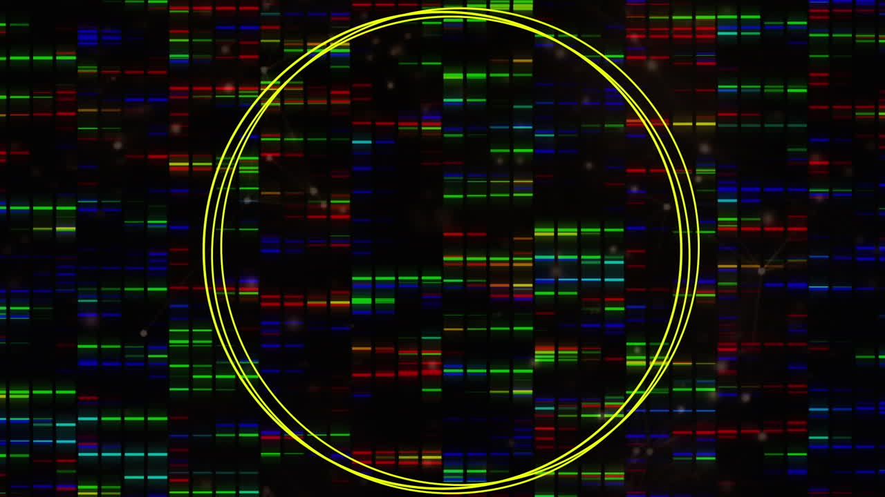 animación de círculos sobre columnas de colores