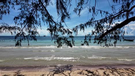 beach scene with calm waves, silhouetted figures swimming, and overhanging branches, capturing tranquility and natural beauty on a sunny day. slow motion