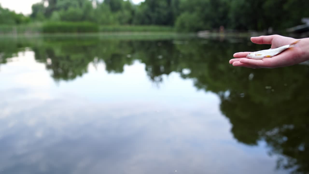Fish on man's palm over the river background with green trees reflection on water. Hand holding a fish and trying to let fish down into the lake in summer.