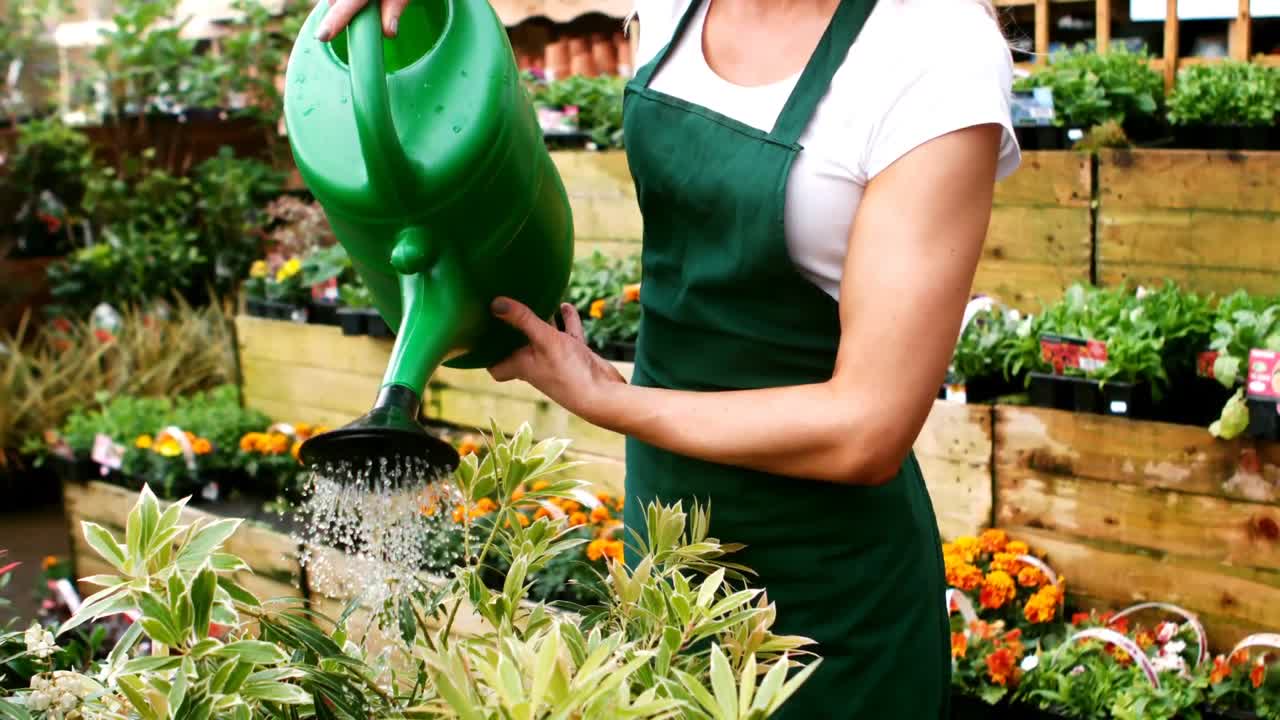 planta de riego de florista hembra con bote de riego