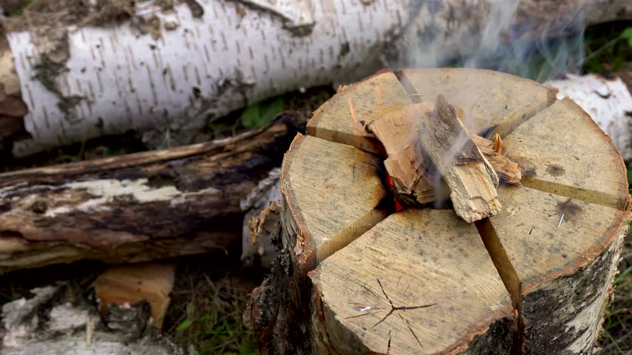 단 하나의 나가지에서 불타는 불.