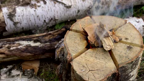 fuego ardiente de un solo tronco.