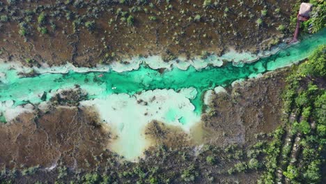 cenote mexicano de arriba hacia abajo vista aérea de drones