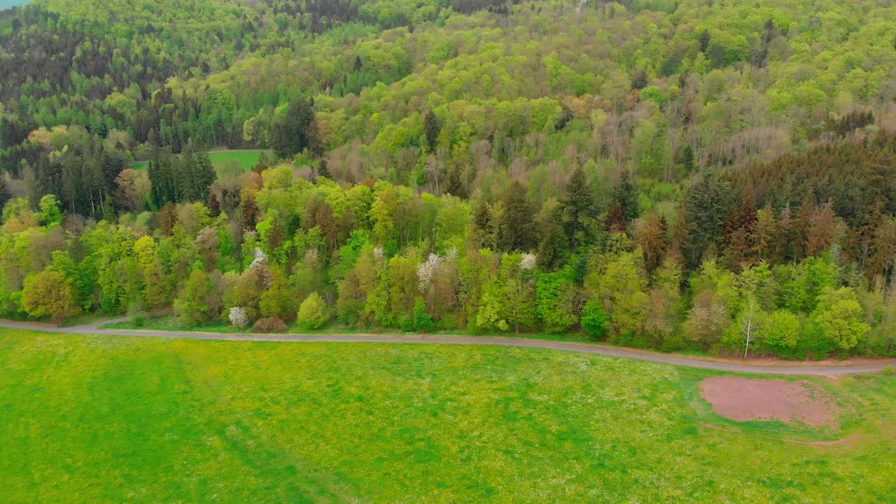 воздушный полет над пышным зеленым лесом