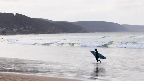 surfista dirigiéndose a las olas en la playa de lorne