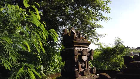 cat jumps down a balinese temple in rice fields of bali indonesia hindu offering sacred place, wild animal in local architecture