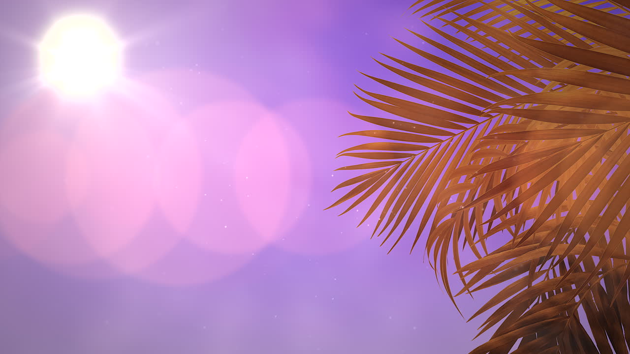 vista panorámica del paisaje tropical con palmeras y puesta de sol 8