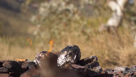 food cooking on camp fire in rural camp-ground