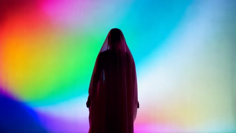 silhouette of a woman in a veil with colorful background