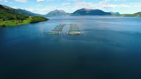 Luftaufnahmen-Von-Lachsfarmen-In-Norwegen