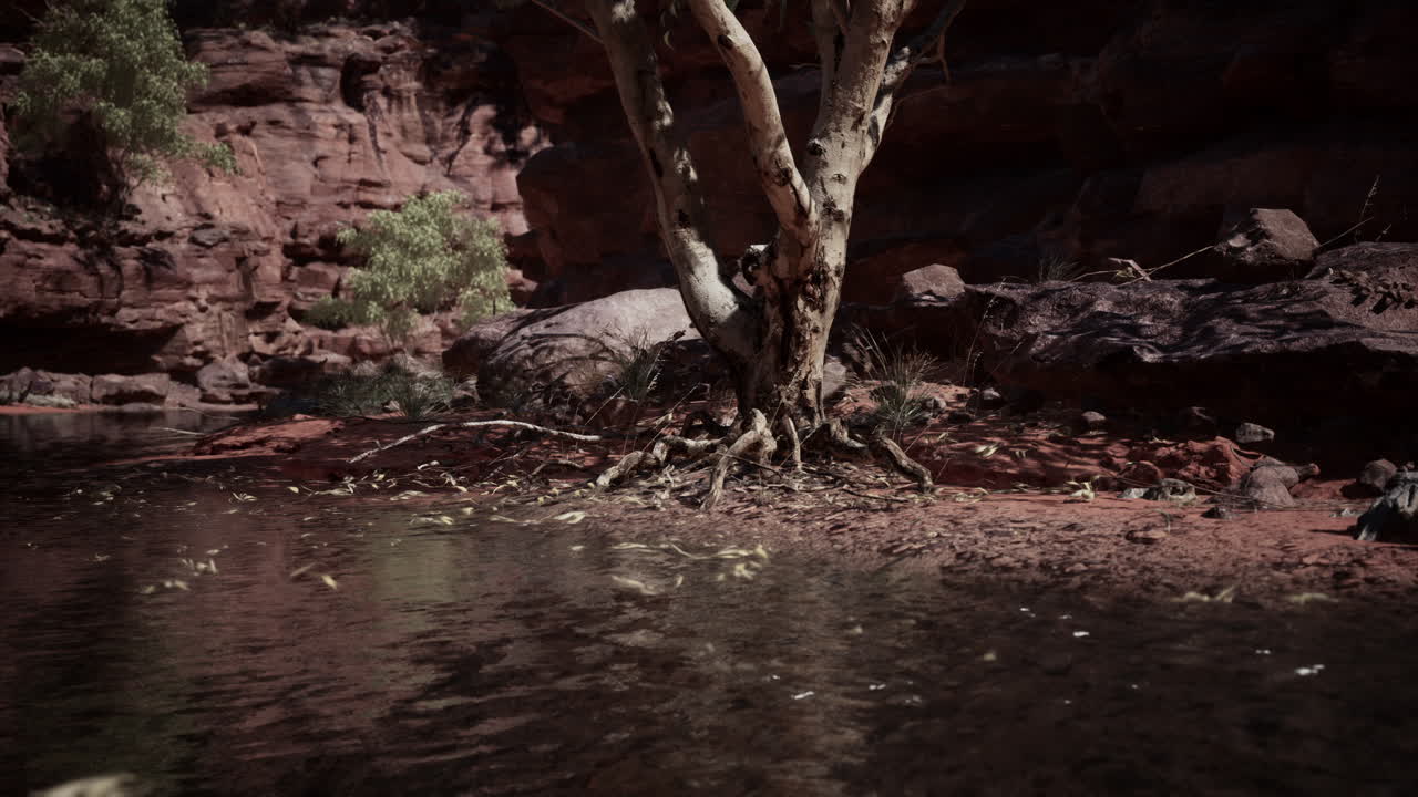 Grand canyon and Colorado river