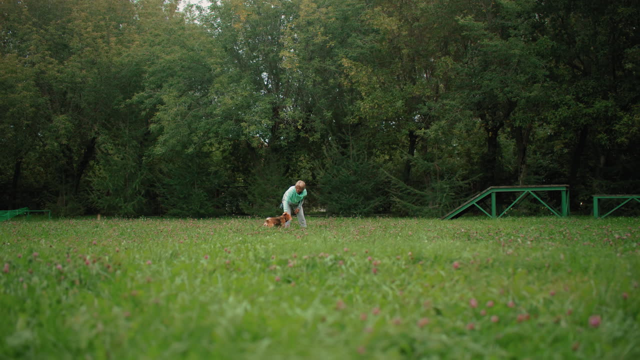 Wide view of tamer rolling ball around playful beagle dog on grassy field as dog joyfully spins to catch it with teeth, creating lively training moment in vibrant outdoor park surrounded by trees