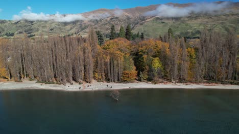 tourists taking pictures of famous wanaka tree and new zealand mountain landscape