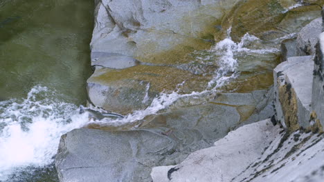spawning coho salmon leaps over small waterfall, falls back into pool