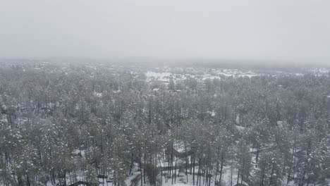 Toma-Aérea-Tirando-Hacia-Arriba-Y-Lejos-De-Los-árboles-Cubiertos-De-Nieve-En-Arizona