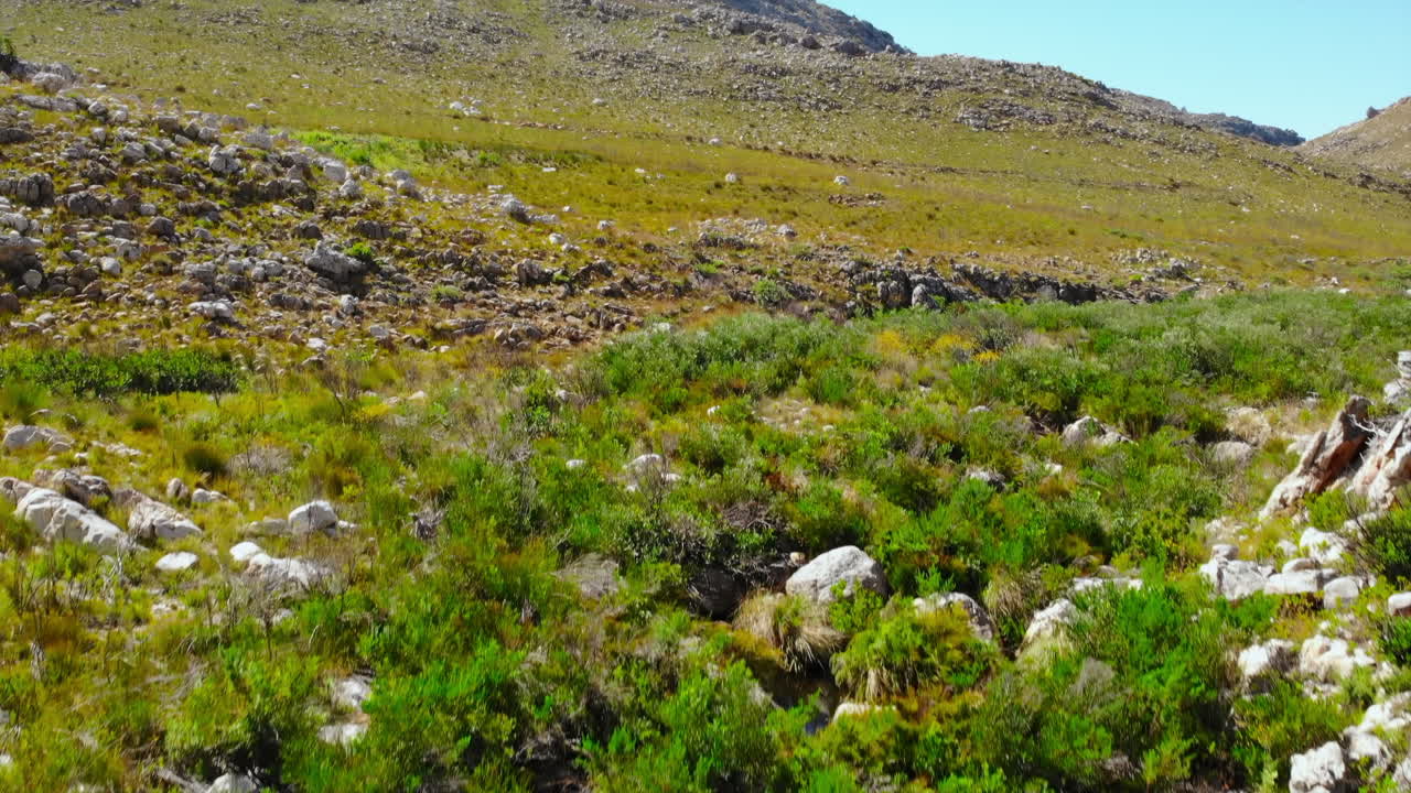Scenic Mountain Landscape with Rocks and Vegetation