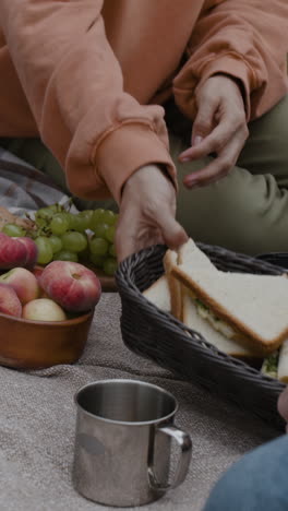 picnic with grapes, peaches, and sandwiches