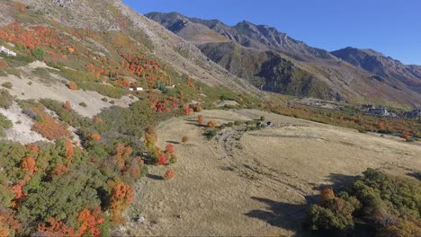 a drone captures aerial footage of an alpine meadow in the fall as tree leaves change color into brilliant reds and yellows