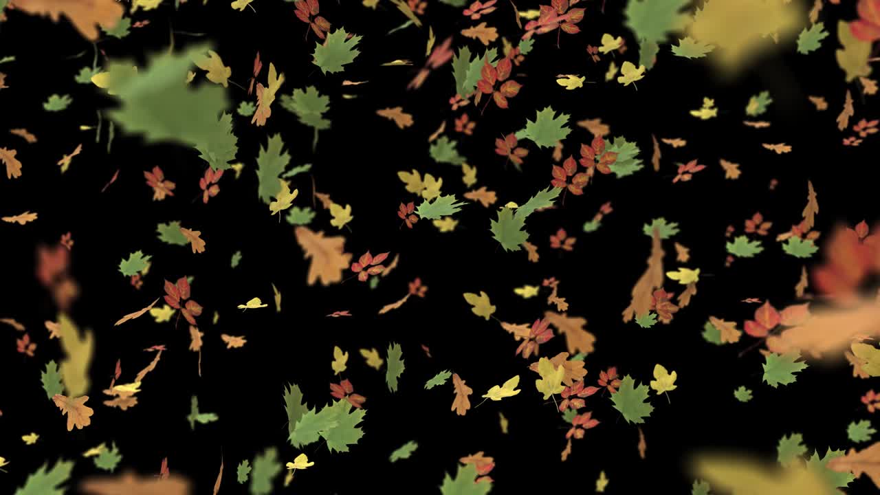 Autumn background - falling leaves