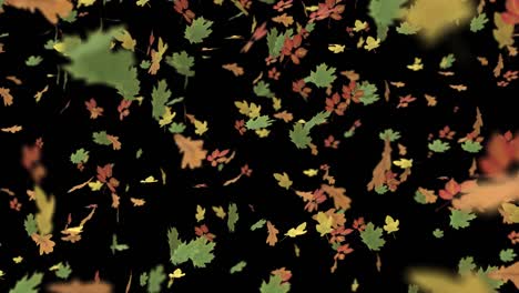 autumn background - falling leaves