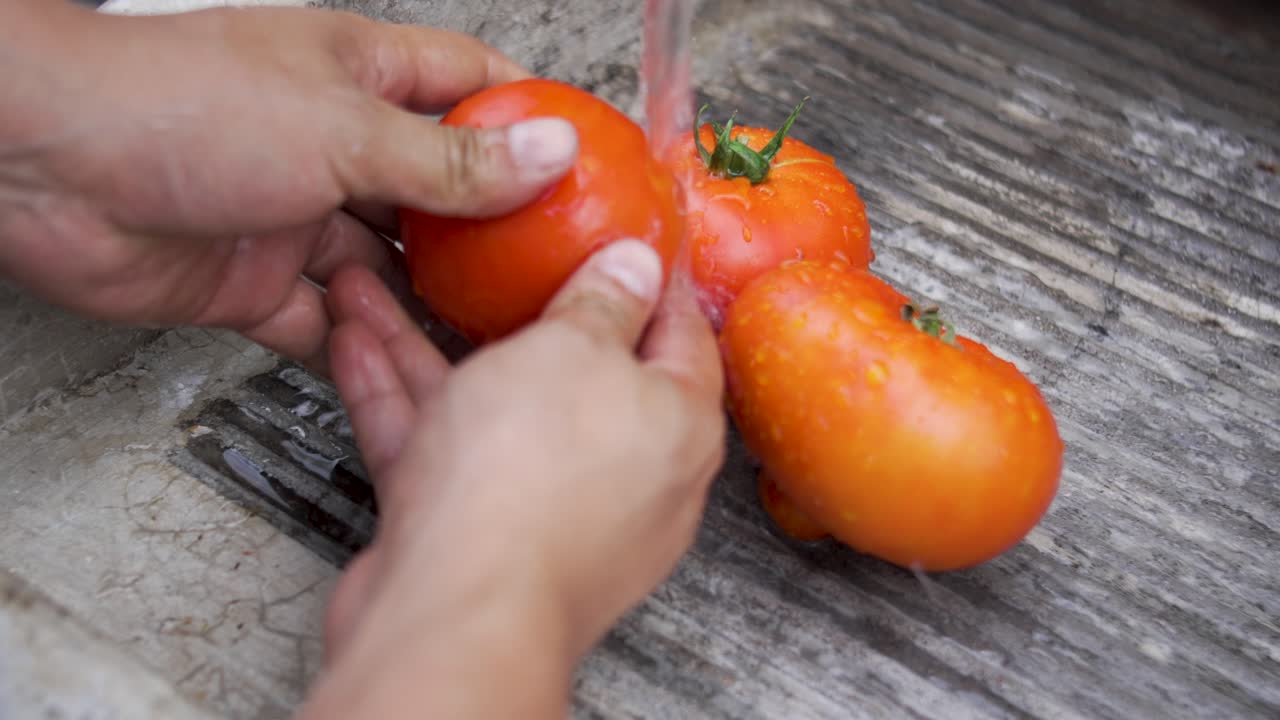 Farmer washes ripe tomatoes harvested from rural garden, Agriculture and Traditional Farming