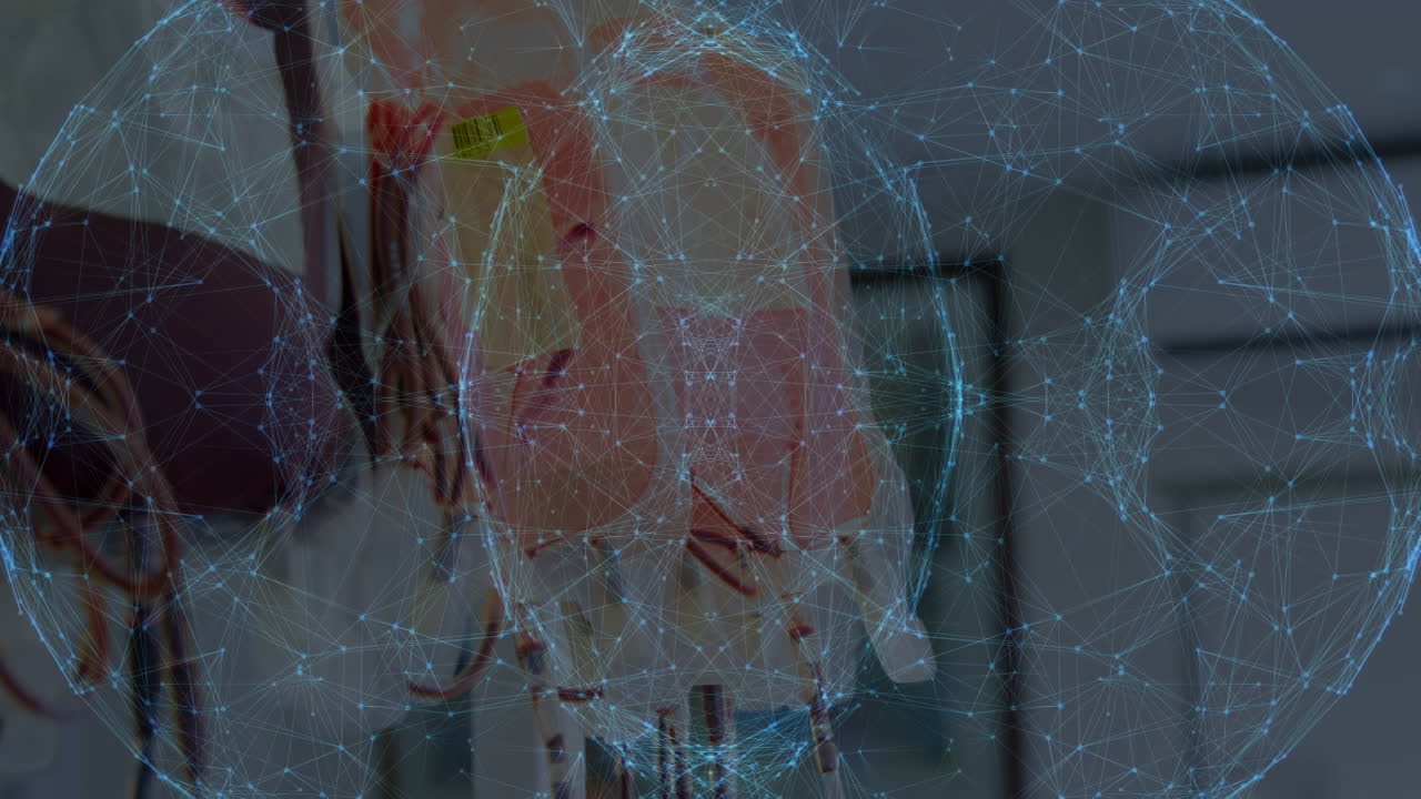 혈액 봉투를 통한 연결 네트워크의 애니메이션