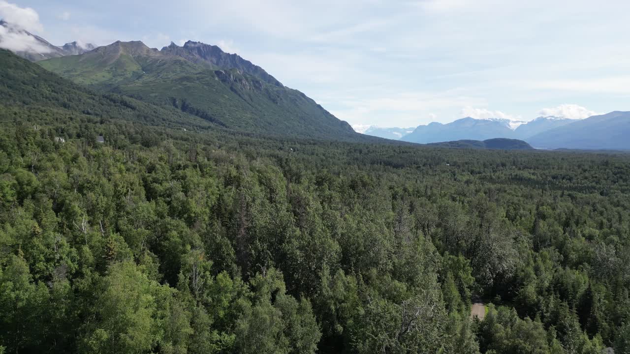montañas y árboles. paisaje en alaska. disparo de drones