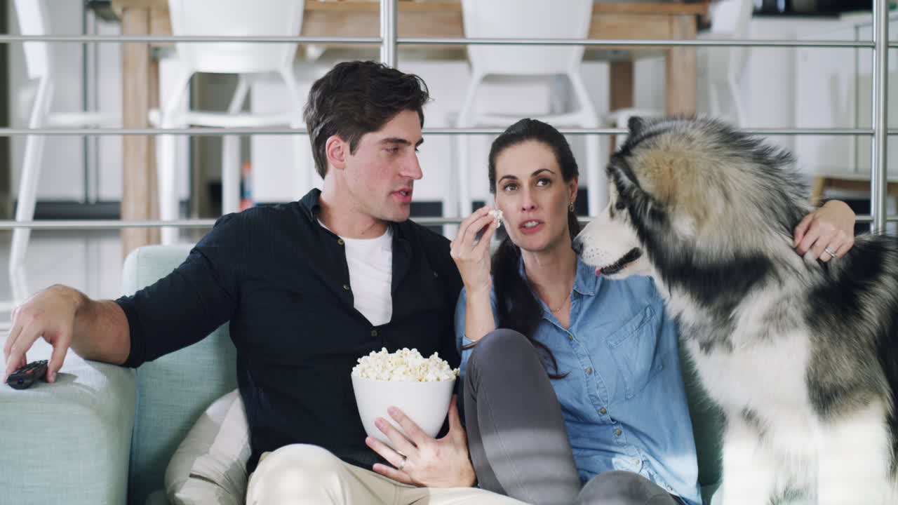 All he's interested in is some popcorn