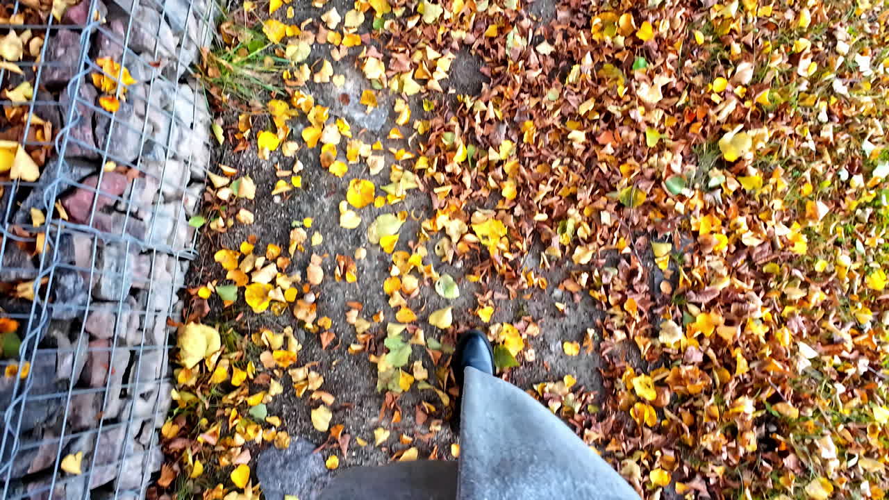 Top down view walking on a path with orange and yellow leafs in autumn, woman nice dressed, slow motion, stone wall on the left side