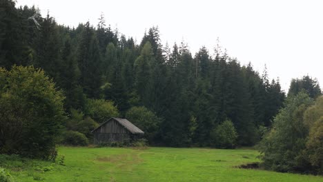 pequeña casa de madera solitaria en el bosque