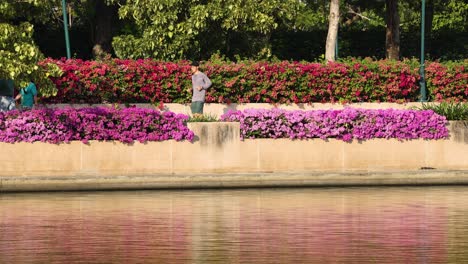 flores de colores florecen a lo largo de una serena orilla del río.