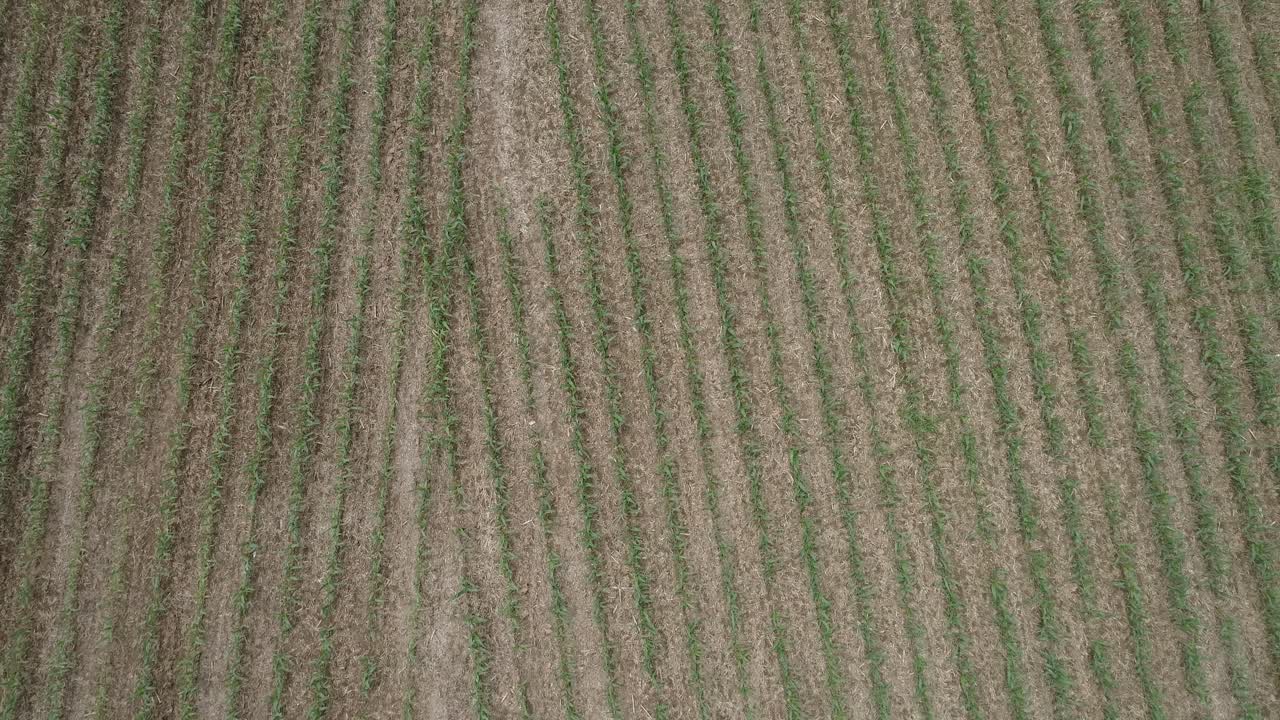 vista aérea de la tierra agrícola amish por vía férrea