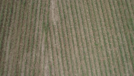 vista aérea de la tierra agrícola amish por vía férrea