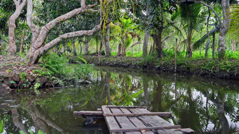 The-tranquility-of-a-rural-backyard-in-the-morning,-featuring-a-picturesque-view-of-tropical-trees,-a-serene-pond-with-reflections,-and-a-charming-wooden-bridge