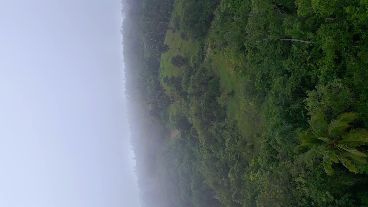 vuelo vertical aéreo sobre el parque verde santo cerro durante un denso día nublado en república dominicana