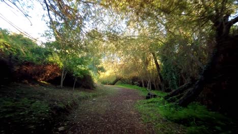 jogging slowly inside a creepy park surrounded by trees