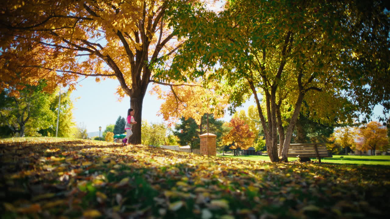 Autumn Park Stroll with Child