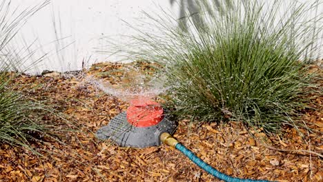 sprinkler watering plants in a garden bed