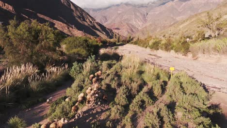 Schafe-Werden-Inmitten-Der-Anden-In-Jujuy,-Argentinien-Getrieben