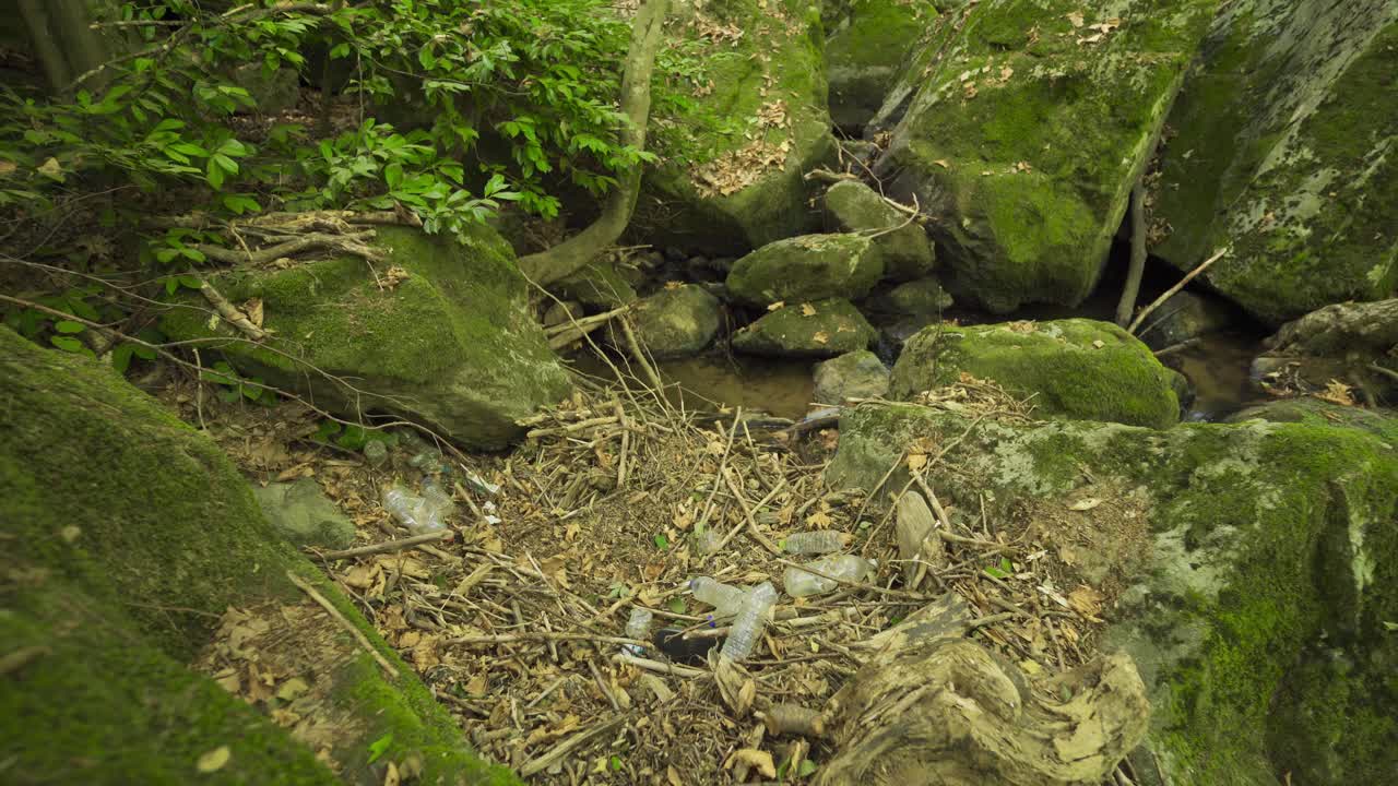 숲의 환경 오염.