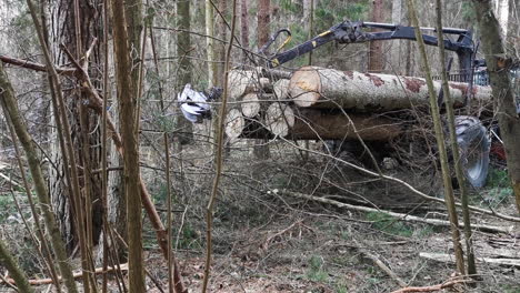 tractor uses grappler and cable to pull out tree log from forest