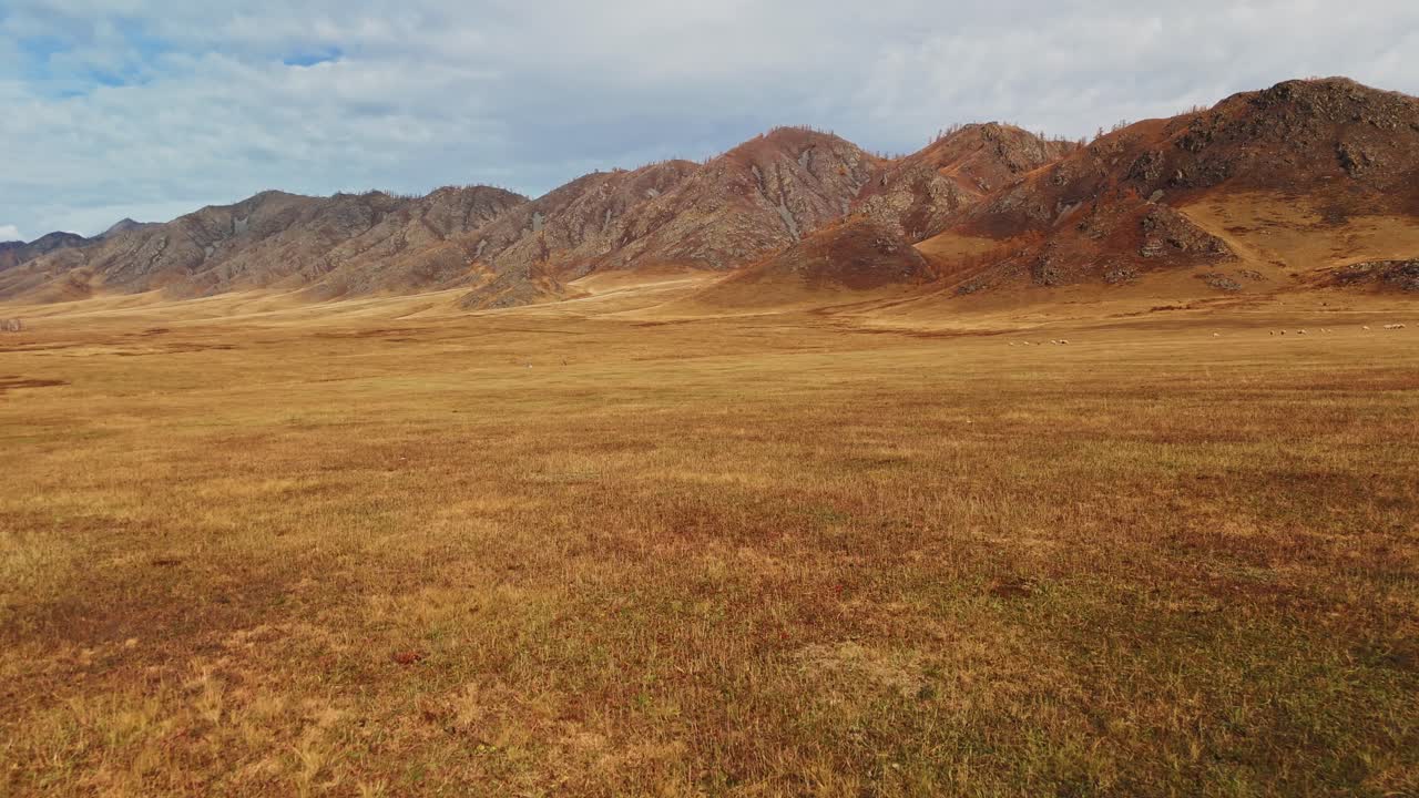 Autumnal Mountain Range and Grassland