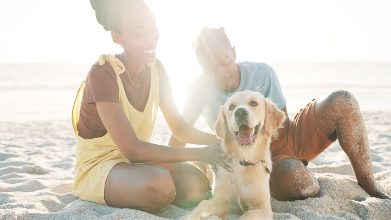 해변에 있는 커플과 개