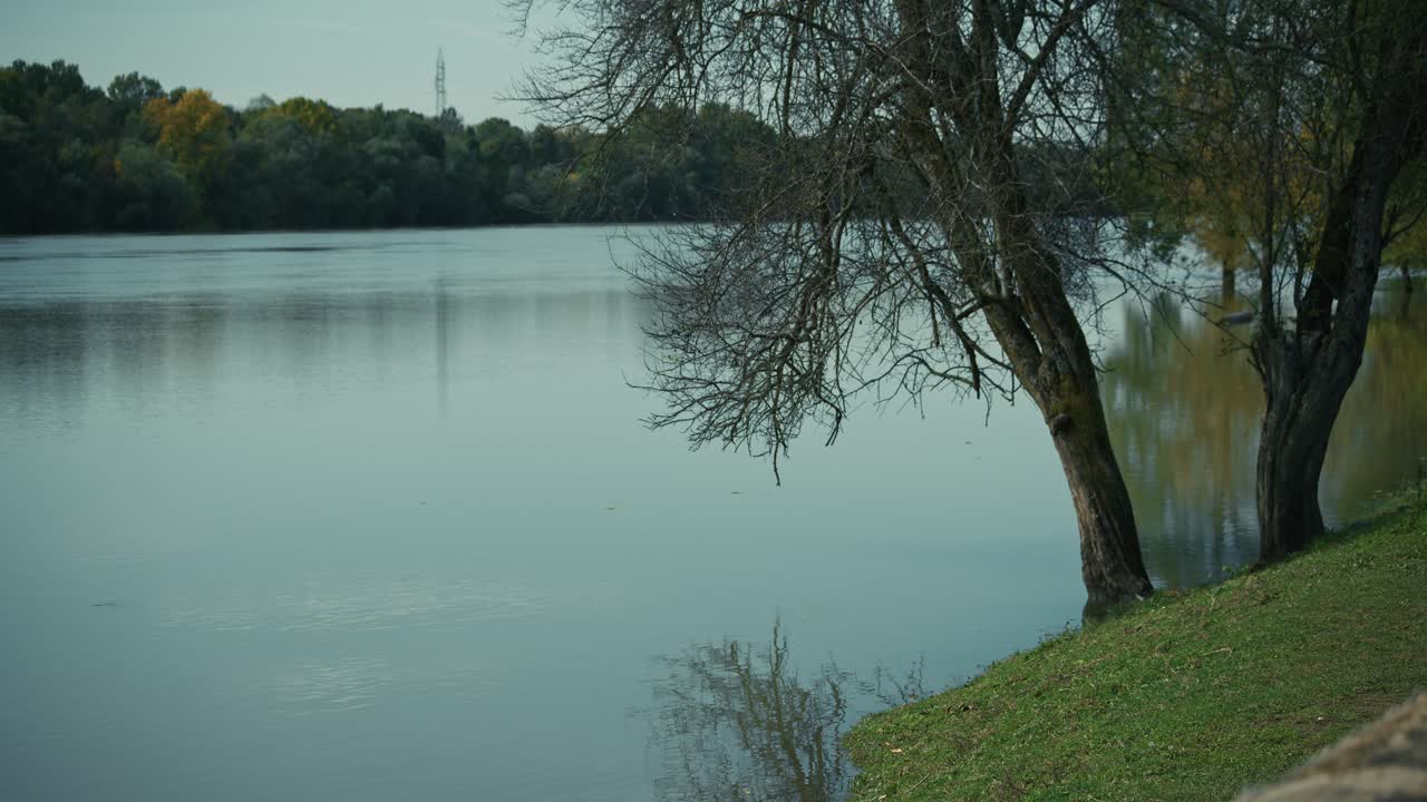 Tranquil river with leafless trees reflecting on the water in Lonjsko Polje Krapje Croatia