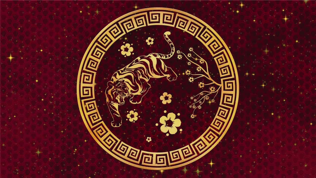 feliz año nuevo chino 2022, signo del zodiaco tigre en fondo rojo con estrellas doradas. festivales chinos. animación de video 4k. feliz año nuevo 2022, el año del tigre