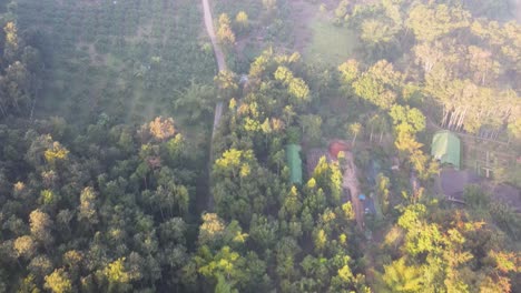 morning fog over forest tops in chiang dao